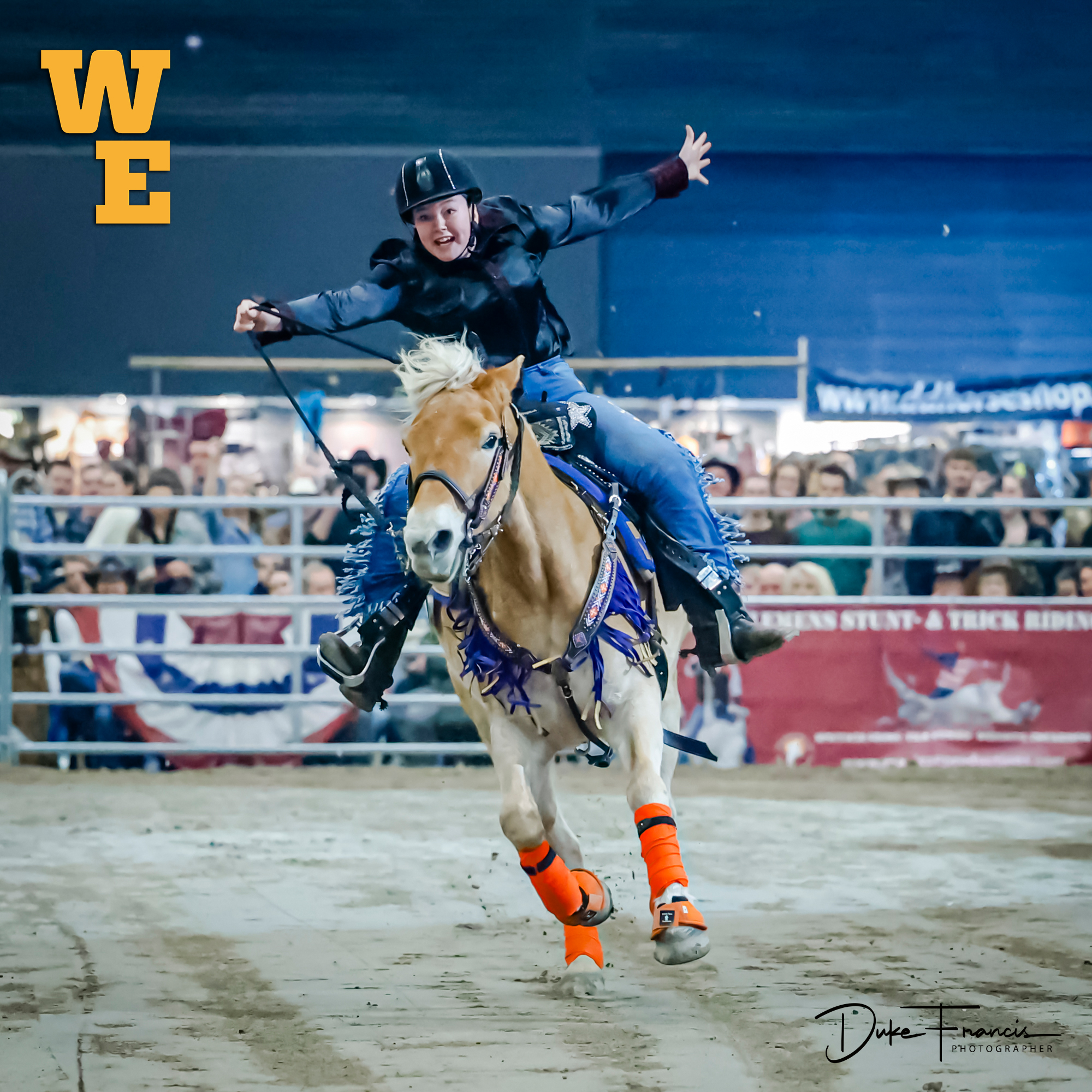 horse trials, western experience