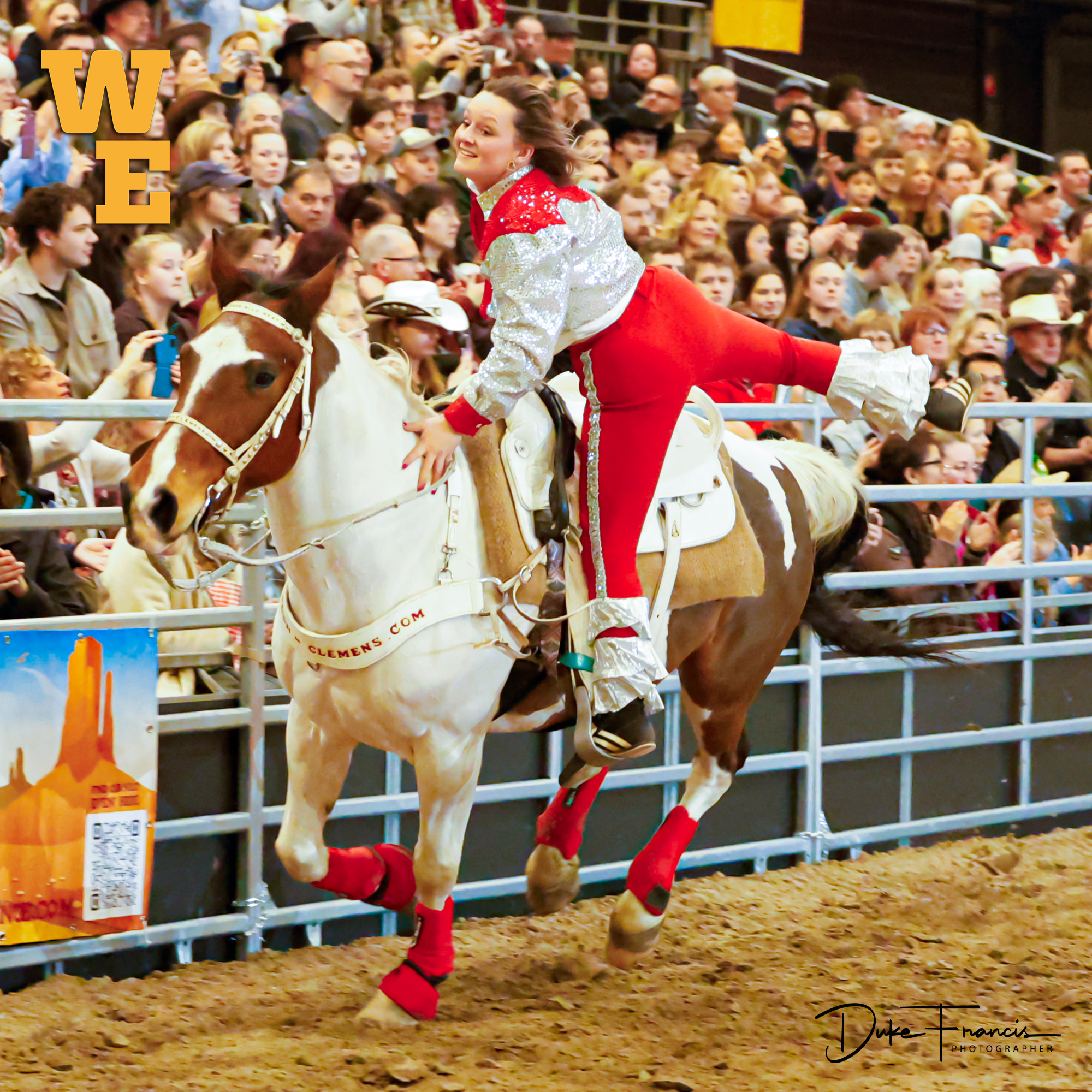 horse trials, western experience